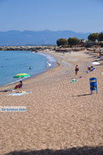 Kyparissia | Messenia Peloponnese | Photo 8 - Photo GreeceGuide.co.uk