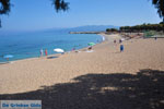 Kyparissia | Messenia Peloponnese | Photo 9 - Photo GreeceGuide.co.uk