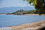 Kyparissia | Messenia Peloponnese | Photo 13 - Photo GreeceGuide.co.uk