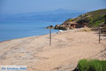 Kyparissia | Messenia Peloponnese | Photo 15 - Photo GreeceGuide.co.uk