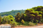 Agiannakis beach | Messenia Peloponnese | Photo 1 - Photo GreeceGuide.co.uk