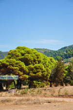 Agiannakis beach | Messenia Peloponnese | Photo 2 - Photo GreeceGuide.co.uk