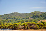 Agiannakis beach | Messenia Peloponnese | Photo 5 - Photo GreeceGuide.co.uk