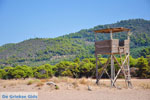 Agiannakis beach | Messenia Peloponnese | Photo 11 - Photo GreeceGuide.co.uk