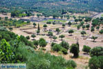 Ancient Messini Ithomi | Messenia Peloponnese | Photo 4 - Photo GreeceGuide.co.uk