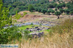 Ancient Messini Ithomi | Messenia Peloponnese | Photo 17 - Photo GreeceGuide.co.uk