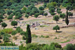 Ancient Messini Ithomi | Messenia Peloponnese | Photo 19 - Photo GreeceGuide.co.uk