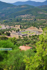 Ancient Messini Ithomi | Messenia Peloponnese | Photo 23 - Photo GreeceGuide.co.uk