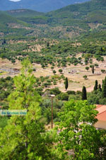 Ancient Messini Ithomi | Messenia Peloponnese | Photo 25 - Photo GreeceGuide.co.uk