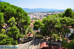 Kalamata | Messenia Peloponnese | Greece  33 - Photo GreeceGuide.co.uk