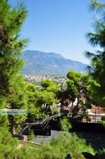 Kalamata | Messenia Peloponnese | Greece  34 - Photo GreeceGuide.co.uk