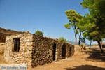 Kalamata | Messenia Peloponnese | Greece  35 - Photo GreeceGuide.co.uk