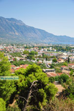 Kalamata | Messenia Peloponnese | Greece  37 - Photo GreeceGuide.co.uk