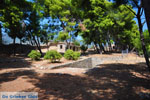 Kalamata | Messenia Peloponnese | Greece  39 - Photo GreeceGuide.co.uk