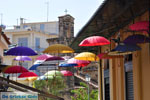 Kalamata | Messenia Peloponnese | Greece  44 - Photo GreeceGuide.co.uk