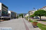 Kalamata | Messenia Peloponnese | Greece  50 - Photo GreeceGuide.co.uk