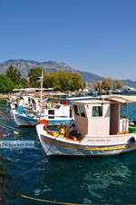 Kalamata | Messenia Peloponnese | Greece  65 - Photo GreeceGuide.co.uk