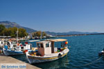 Kalamata | Messenia Peloponnese | Greece  66 - Photo GreeceGuide.co.uk