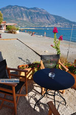 Kalamata | Messenia Peloponnese | Greece  67 - Photo GreeceGuide.co.uk