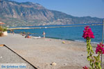 Kalamata | Messenia Peloponnese | Greece  69 - Photo GreeceGuide.co.uk