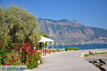 Kalamata | Messenia Peloponnese | Greece  70 - Photo GreeceGuide.co.uk