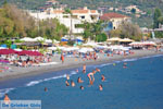 Kalamata | Messenia Peloponnese | Greece  78 - Photo GreeceGuide.co.uk