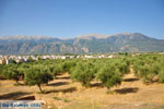 Sparta (Sparti) | Lakonia Peloponnese | Greece  1 - Photo GreeceGuide.co.uk