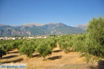 Sparta (Sparti) | Lakonia Peloponnese | Greece  2 - Photo GreeceGuide.co.uk