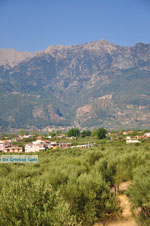 Sparta (Sparti) | Lakonia Peloponnese | Greece  4 - Photo GreeceGuide.co.uk