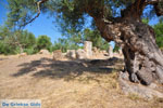 Ancient-Sparta (Archaia Sparti) | Lakonia Peloponnese | 6 - Photo GreeceGuide.co.uk
