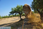 Ancient-Sparta (Archaia Sparti) | Lakonia Peloponnese | 12 - Photo GreeceGuide.co.uk