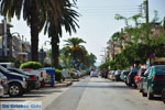 Sparta (Sparti) | Lakonia Peloponnese | Greece  7 - Photo GreeceGuide.co.uk