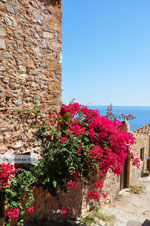 Monemvasia (Monemvassia) | Lakonia Peloponnese | Greece  101 - Photo GreeceGuide.co.uk