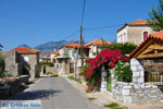 Platsa | Mani Messenia Peloponnese | Photo 4 - Photo GreeceGuide.co.uk