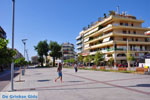 Kalamata | Messenia Peloponnese | Greece  91 - Photo GreeceGuide.co.uk