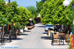 Ancient-Corinth | Corinthia Peloponnese | Photo 8 - Photo GreeceGuide.co.uk