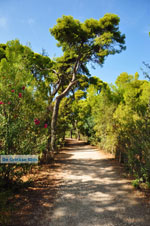 Xylokastro | Corinthia Peloponnese | Greece  8 - Photo GreeceGuide.co.uk