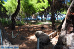 Xylokastro | Corinthia Peloponnese | Greece  17 - Photo GreeceGuide.co.uk