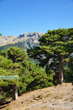 Mountain villages Ziria | Corinthia Peloponnese | Greece  10 - Photo GreeceGuide.co.uk