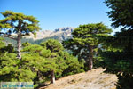 Mountain villages Ziria | Corinthia Peloponnese | Greece  11 - Photo GreeceGuide.co.uk