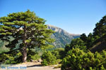 Mountain villages Ziria | Corinthia Peloponnese | Greece  12 - Photo GreeceGuide.co.uk