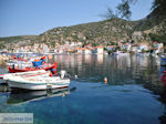 Agia Kyriaki Pelion - Greece - Photo 9 - Photo GreeceGuide.co.uk