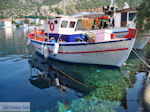 Agia Kyriaki Pelion - Greece - Photo 11 - Photo GreeceGuide.co.uk