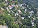 Makrinitsa Pelion - Greece - Photo 3 - Photo GreeceGuide.co.uk