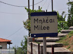 Milies Pelion - Greece - Photo 2 - Photo GreeceGuide.co.uk