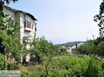 Vizitsa Pelion - Greece - Photo 17 - Photo GreeceGuide.co.uk