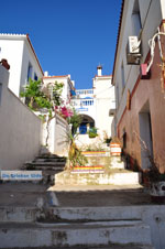 Poros | Saronic Gulf Islands | Greece  Photo 143 - Photo GreeceGuide.co.uk