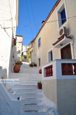 Poros | Saronic Gulf Islands | Greece  Photo 145 - Photo GreeceGuide.co.uk