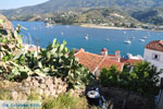 Poros | Saronic Gulf Islands | Greece  Photo 146 - Photo GreeceGuide.co.uk