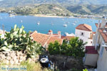 Poros | Saronic Gulf Islands | Greece  Photo 147 - Photo GreeceGuide.co.uk